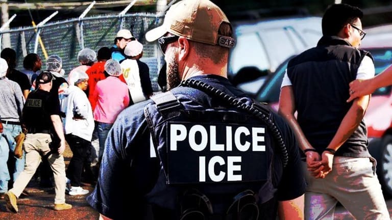 What Are Ice Agents Called