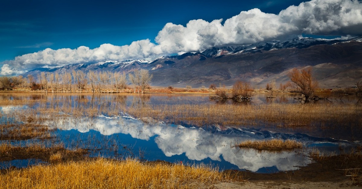 The Rape of Owens Valley - LA Progressive